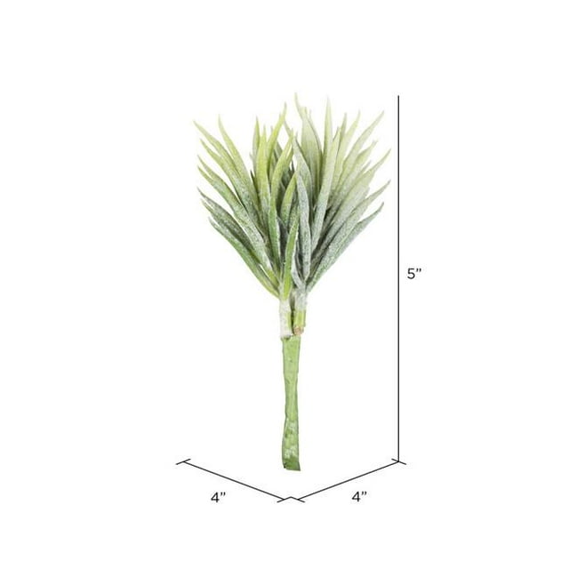 Vickerman FE171106 Succulent Seneco de 5 Po&44; Vert et Blanc - Pack de 6