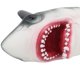 thumbnail image 1 of Marioneta de Mano ANGGREK Simulación Guantes de Juguete Cabeza de Animal Suave 7 Pulgadas, 1 of 7