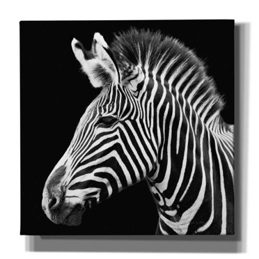 Epic Graffiti 'Zebra VII' by Debra Van Swearingen, Canvas Wall Art, 18"x18"