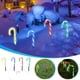 thumbnail image 1 of Ganfancp Muleta de Navidad Lámpara de Suelo Al Aire Libre Led Jardín Bastón de Caramelo Año Nuevo Decoraciones de Navidad Juego de 4 Piezas Ofertas Del Día 1X Luz de Bastón One Tow Four + 4X Enchufe, 1 of 7