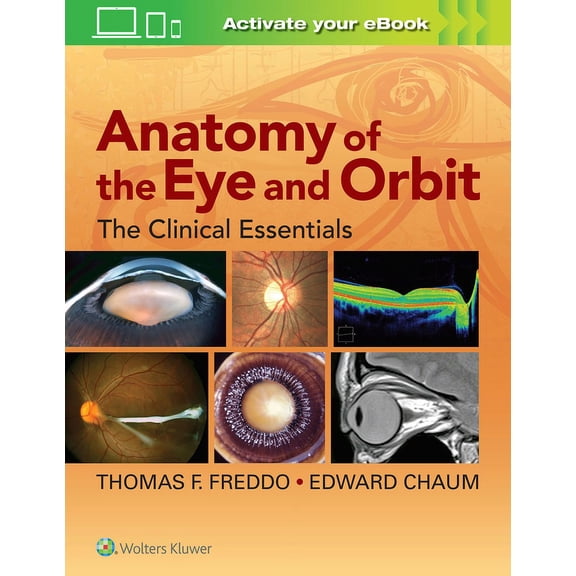 Anatomy of the Eye and Orbit: The Clinical Essentials, (Hardcover)
