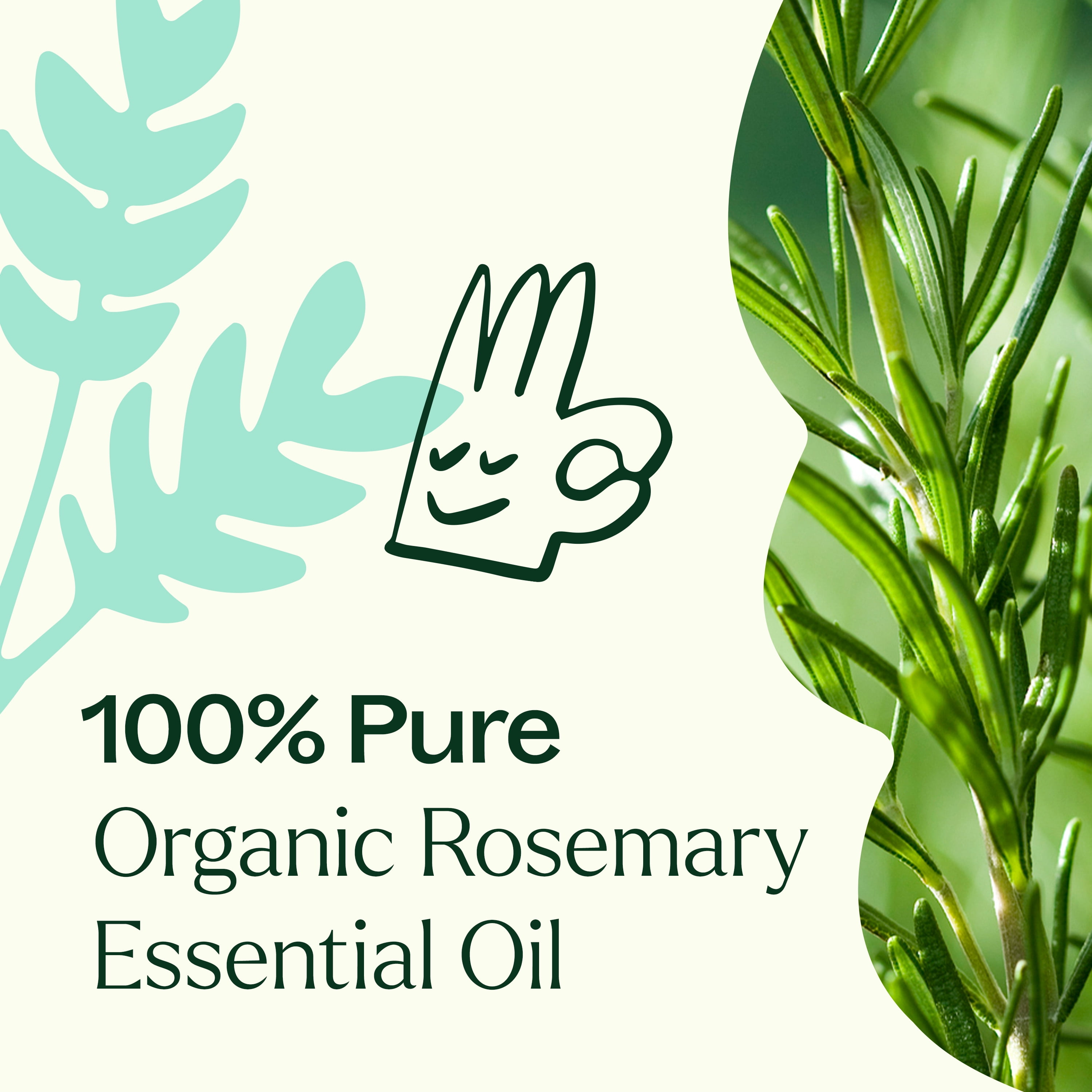 Plant Therapy Rosemary Organic Essential Oil 100% Pure, USDA Certified Organic, Undiluted 10 mL (1/3 oz)