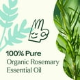 thumbnail image 5 of Plant Therapy Rosemary Organic Essential Oil 100% Pure, USDA Certified Organic, Undiluted 30 mL (1 oz), 5 of 8