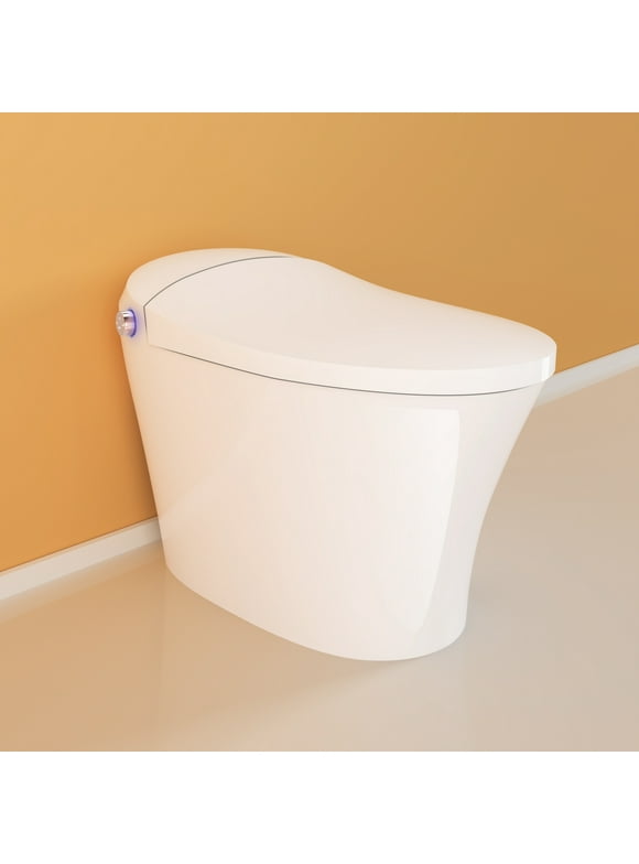Freestanding Bidet Toilets in Bidets
