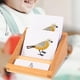 thumbnail image 5 of Pintado a mano Animal Juego Educativo Enseñanza Juguetes Aprendizaje Biología Juguetes Figura de acción Modelo para pequeños pájaro Hugo Tarjeta de tres segmentos, 5 of 9