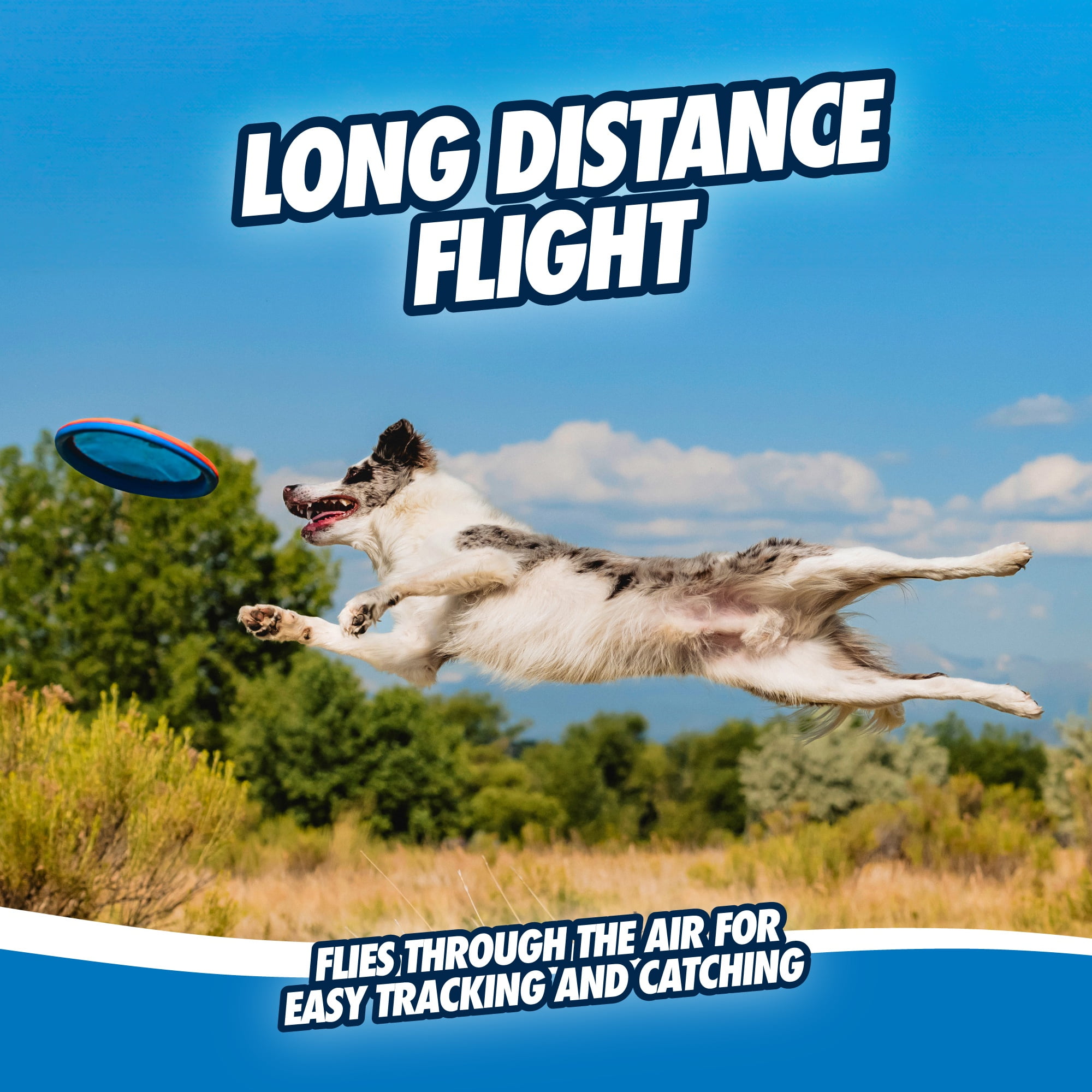 (4 pack) Chuckit! Paraflight Flying Disc Nylon Frisbee Dog Toy for Pools, Beach Waterplay, Large 10.25" for Dogs 60-100 lb, Multicolor