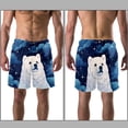 thumbnail image 3 of luoweisi Men's Beach Shorts Quick Dry Swim Trunks with Mesh Lining Galaxy Polar Bear XL, 3 of 5