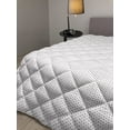 thumbnail image 2 of Crazy Art Down Alternative Comforter, Modern Abstract Print of Irregular Freaky on a Plain Background, Microfiber Quilt for All Season, 5 Sizes, Charcoal Grey White, by Ambesonne, 2 of 3