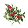 thumbnail image 5 of CIMAXIC christmas 1pc Adorable Rattan Hanging Light Party Luminous Decor Xmas Berry String Light,7.87"X3.94"X3.94", 5 of 5