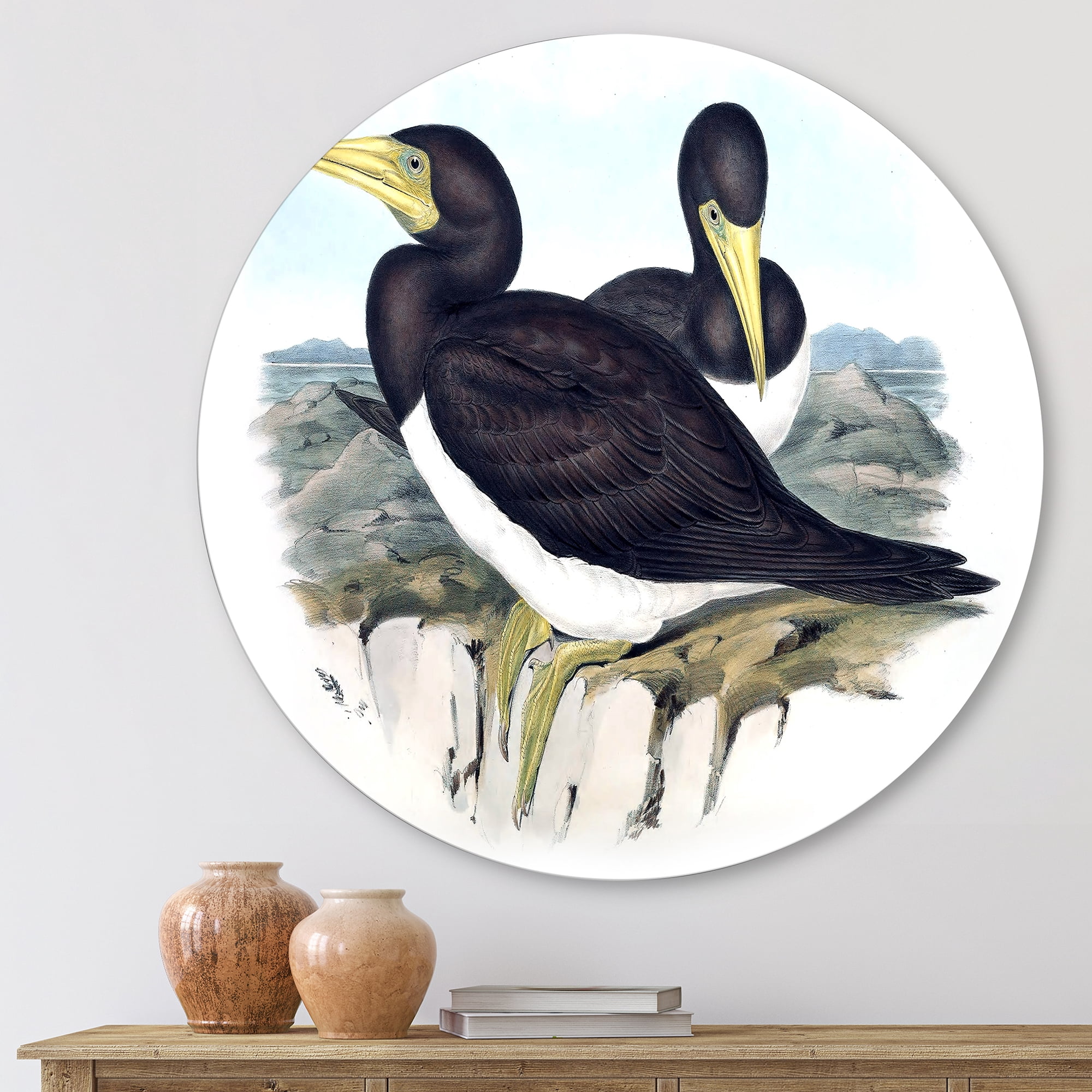 Designart 'Ancient Australian Birds XII' Traditional Circle Metal Wall Art 23x23 - Disc of 23