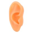 thumbnail image 1 of Ear Display Mould, Ear Model Soft Silicone  For Hospital Left, 1 of 8