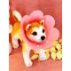 thumbnail image 1 of 1pc Orange Pet Recovery Collar, Sunflower Printed - Anti-Licking, Anti-Biting & Anti-Shaming E-Collar For Cats & Dogs - Wholesale - Suitable For Small, 1 of 4