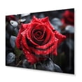 thumbnail image 2 of Designart "Water Drops On Red Rose II" Floral Metal Wall Art Prints, 2 of 5