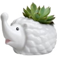 thumbnail image 2 of Hedgehog White Ceramic Succulent Planter Flower Plant Pot Window Box with Saucer Animal Decor (Mom Hedgehog), 2 of 4
