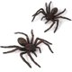 thumbnail image 1 of 2-pack realistiska spindlar, leksaksspindel djurfigurer, (smal svart spindel), 1 of 5