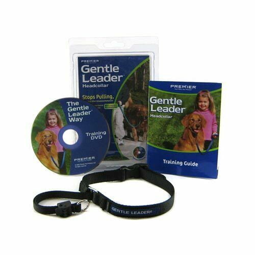 anti pull head collar
