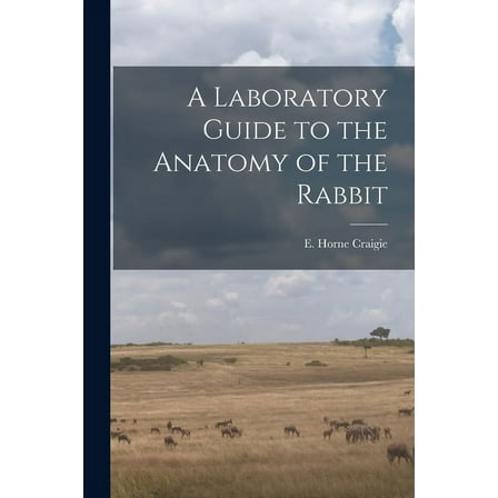 A Laboratory Guide to the Anatomy of the Rabbit, (Paperback)