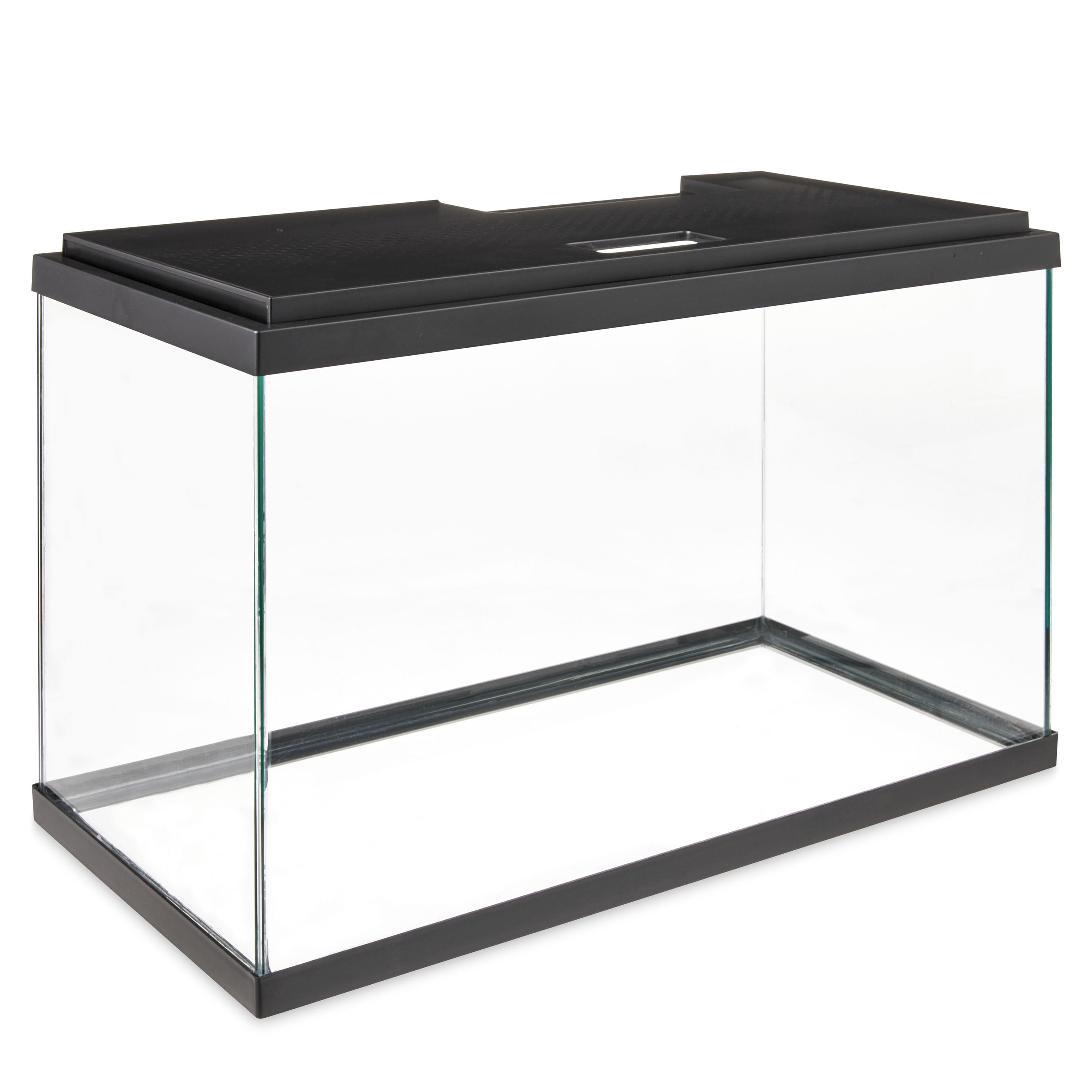 5 gallon fish tank walmart hotsell