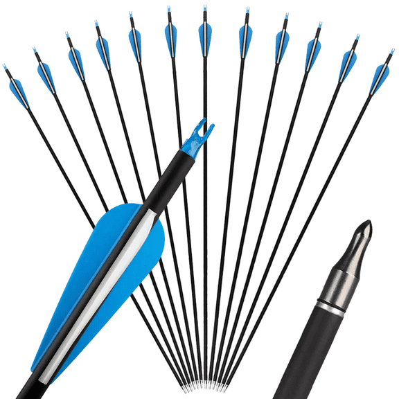 Clianle 31" Mixed Carbon Archery Arrows for Target Practice with Compound, Recurve, and Traditional Bows—Pack of 12