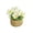 White, variant on Leodye 1PCS Artificial Flower Potted Plant, Realistic Faux Floral Arrangement for Home Living Room Dining Table Bedroom office and Spring Summer Decor -4.72x5.51in