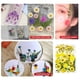 thumbnail image 4 of Billuyoard Conjunto de flores secas para decoración de álbumes de recortes Decoración del hogar Tipo 3 Billuyoard HA062478-03B, 4 of 6