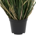 thumbnail image 4 of Vickerman 24" Artificial Potted Green Curled Grass., 4 of 7