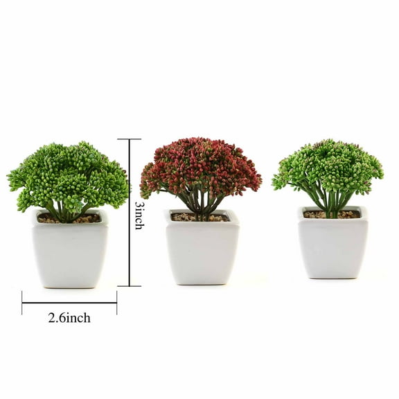 BalsaCircle 3 Pieces 6" Green Assorted Artificial Faux Sedum Succulent Plants White Pots