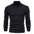 thumbnail image 1 of Suéter de hombre, suéter casual de color sólido para hombre, suéter de cuello alto para hombre, suéter casual para hombre, estilo de cuello alto, 1 of 6