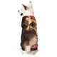 thumbnail image 1 of Fotbe Vintage Red Flower Chihuahua Sudadera con Estampado para Perros Pequeños – Suéter con Capucha para Mascotas, Tela Suave de Forro Polar con Bolsillo-Medium, 1 of 7