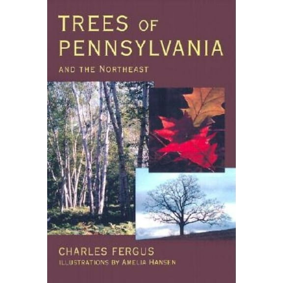Trees of Pennsylvania, (Paperback)