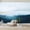 Color 3, variant on Wallpaper Black White Pop Red Japanese Temple Autumn Fall Landscape Mount Peel and Stick Wall Murals 69"H x 96"W Removable PVC Wall Paper Self-Adhesive Wall Paintings Art for Bedroom Living Room