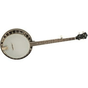 Recording King Starlight Series Resonator Banjo Midnight
