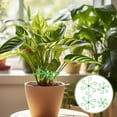 thumbnail image 5 of Plant Support Stakes Set of 8 | Reusable Adjustable Plastic Climbing Stakes for Indoor Houseplants Monstera Pothos Peony Tomato | 2 Sizes 2.95in & 2.17in | Green Plant Clips for Gardeners Enthusiasts, 5 of 8