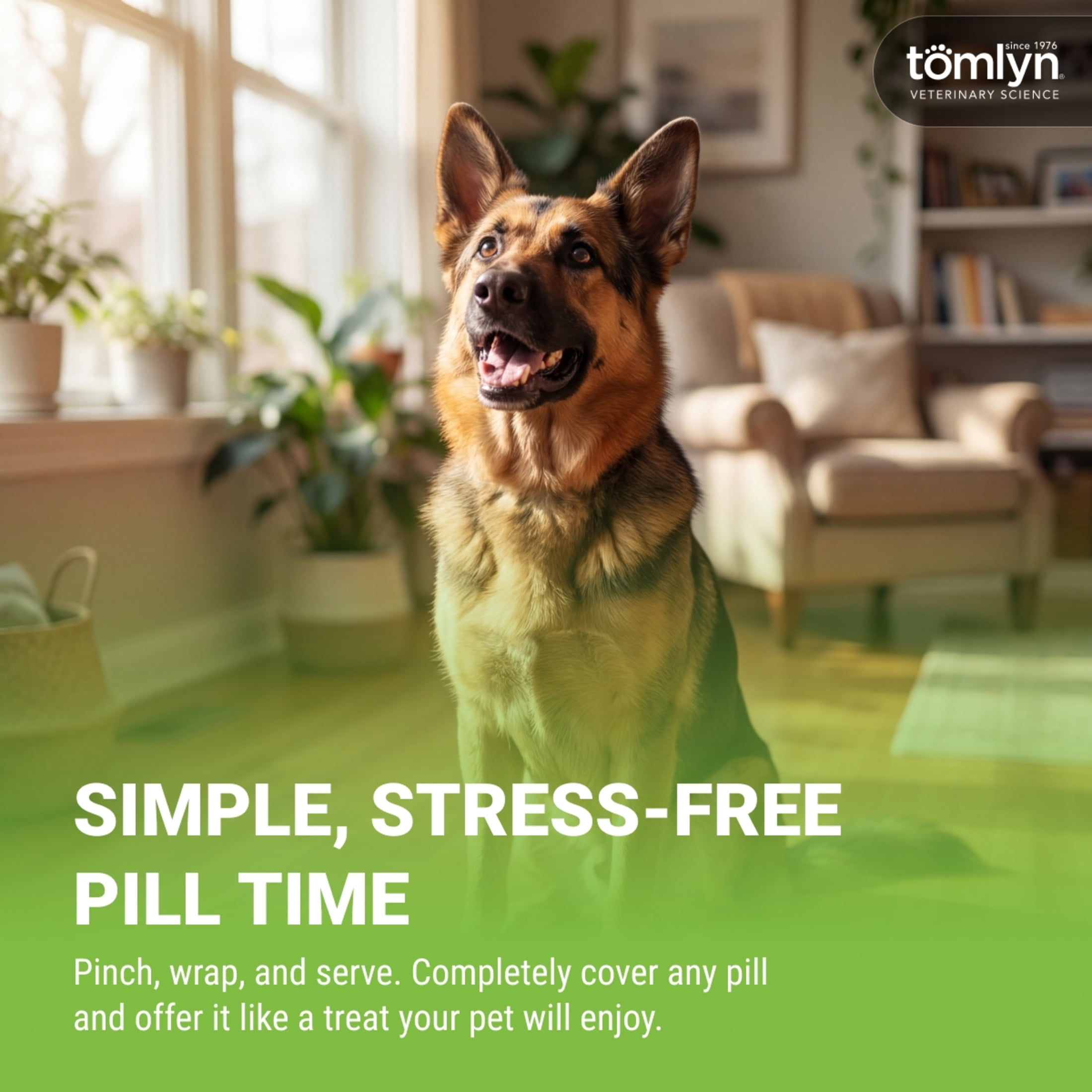 Tomlyn Pill Masker Bacon Flavor Paste for Dogs and Cats, Helps Hide the Taste and Smell of Capsules, Wafers, Tablets, and Liquid Drops, 56 Servings Per Container.