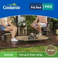Coolaroo Cooling Elevated Dog Bed Pro, Medium, Fits in 42in Crates