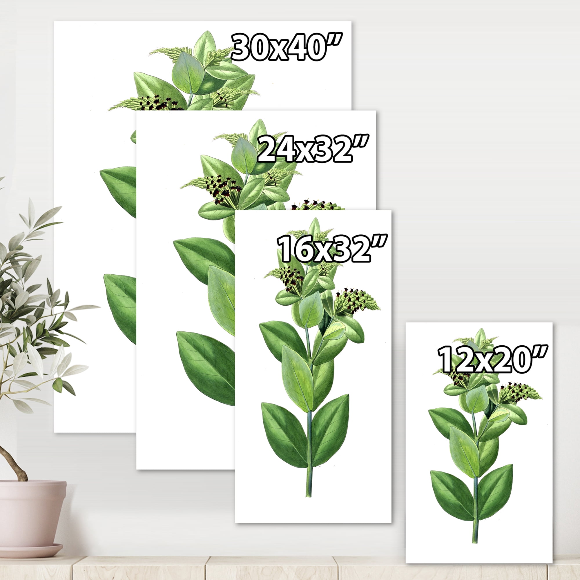 Ancient Green Leaves Plants VI 16 in x 32 in Painting Canvas Art Print, by Designart