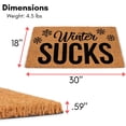 thumbnail image 3 of BirdRock Home Winter Sucks Camera Coir Front Door & Entry Doormat - 18" x 30", 3 of 5