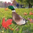 thumbnail image 3 of Duck Garden Stake Decoration 2 Types Optional Duck Stake Ornament for Courtyard Patio and Yard, 3 of 5