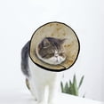 thumbnail image 1 of Music Sheet Musical Notes Soft Cat Dog Recovery Collar Adjustable Cat Cone Wound Healing Protective After Surgery for Dog Cone Collar, 1 of 7