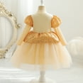 thumbnail image 4 of 2T Toddler Girls Wedding Princess Dress Party Dress Formal Pageant Dress 3T Toddler Girl Long Sleeve Contrast Color Tue Top Sequins Upper Ruffled Tulle Layer Elegant Party Dress Gold, 4 of 6