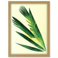 thumbnail image 1 of Fan Palm Tree Leaf Modern Abstract Illustration Artwork Framed Wall Art Print A4, 1 of 4