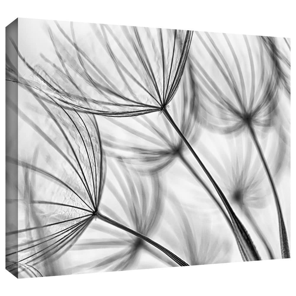 ArtWall Cora Niele "Parachute Seed I" Gallery-Wrapped Canvas