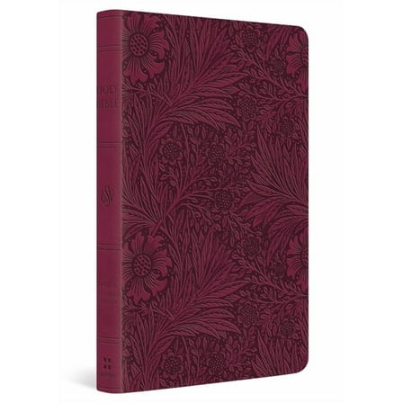 ESV Large Print Value Thinline Bible