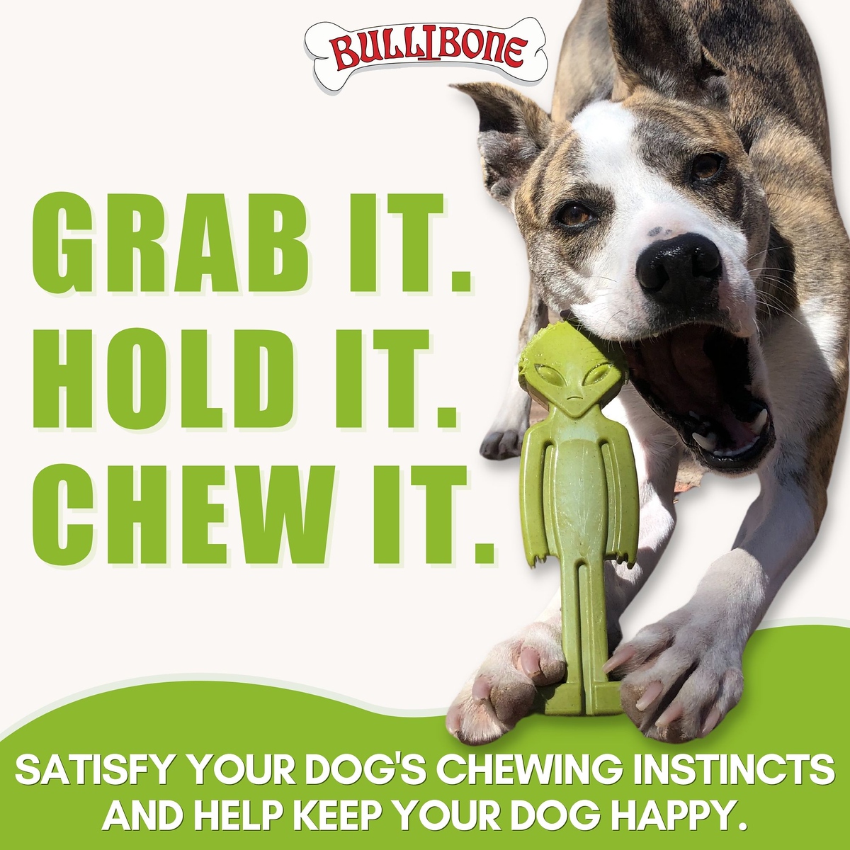 Bullibone Alien Bone Dog Chew Toy, Super Greens photo 6
