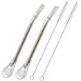 thumbnail image 1 of Hweilai 2 Pack Stainless Steel Straw with Filter Spoon, for Iced Tea, Cocktail, with 2 Cleaning Brushes (Silver), 1 of 5