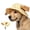 Yellow, variant on Outdoor Sun Hat for Pets, Adjustable Dog Bucket Hat with Ear Holes Breathable Sun Shade Cap for Dogs Cats Walking Beach Trips