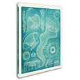 thumbnail image 2 of Trademark Fine Art 'Jellyfish Sealife' Canvas Art by Vintage Apple Collection, 2 of 3