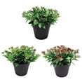 thumbnail image 3 of Planta artificial flor artificial hoja pequeña sándalo rojo colorante en maceta bonsai planta de simulación flor de algas acuáticas decoración del hogar simulación bonsái (rosa) Sailing Electrónica, 3 of 5