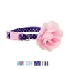 Vibrant Life 3D Flower Fashion Dog Collar, Purple/Pink Dots with Flower, x-Small