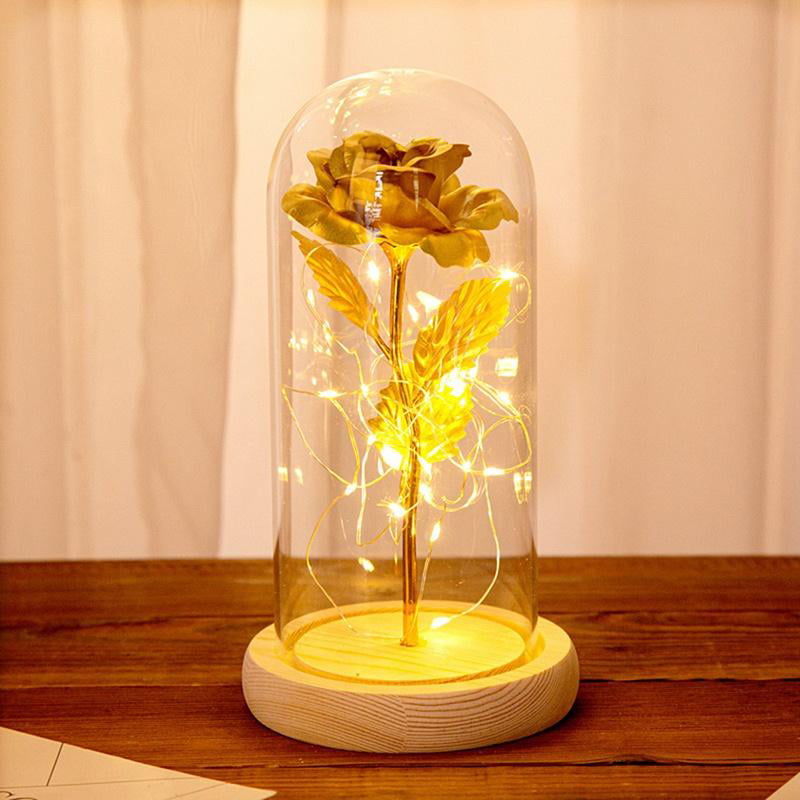 Details about   LED String Preserved Rose Flower Real Rose in Glass Dome Valentine's Day Wedding 